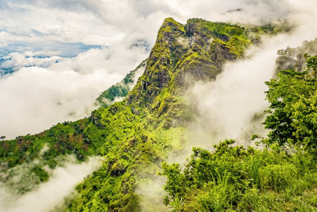 Magamba Travel Tanzania